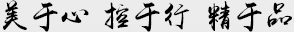 美于心，控于行，精于品
